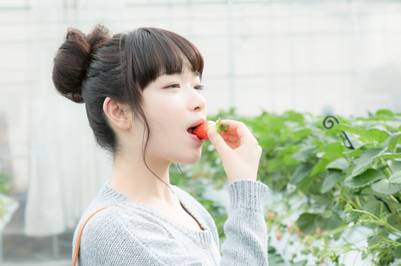 イチゴを食べる女子大生